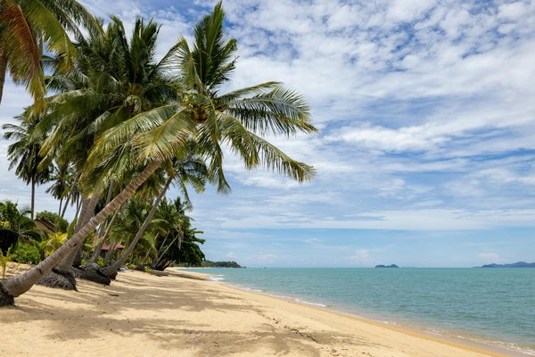 Logiciel De Jeux De Casino Informatique