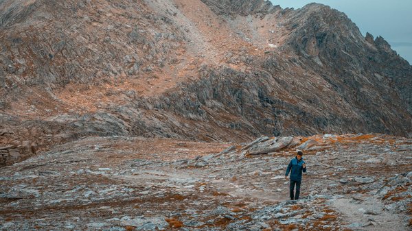 Slots Dans Les Casinos