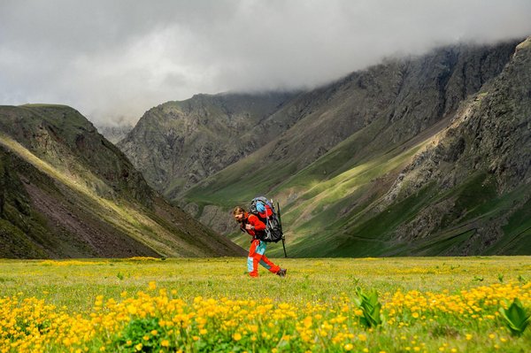 Firevegas Casino 50 Free Spins