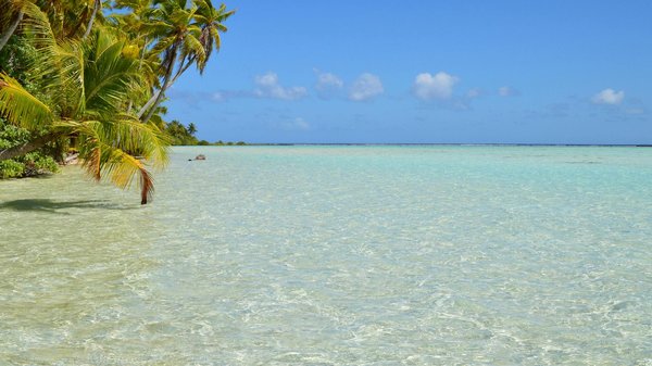 Jouez Aux Machines De Casino En Ligne Gratuits