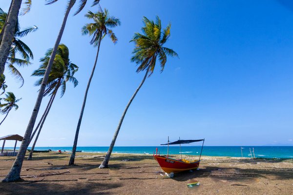 Site Casino En Ligne Bonus