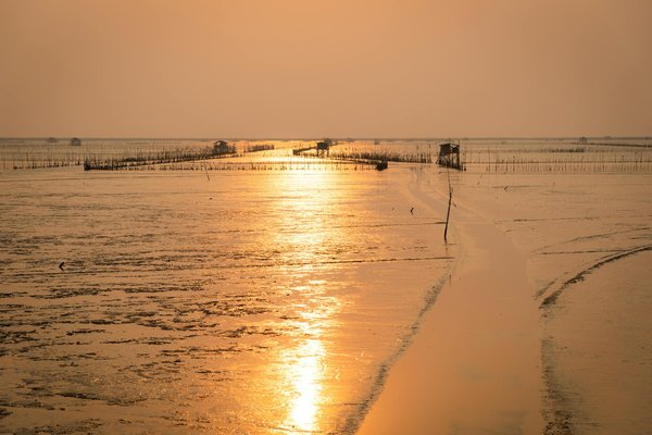 Slots Populaires à Jouer Avec Des Spins Gratuits