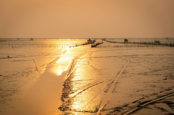 Verifier Mon Compte Neosurf