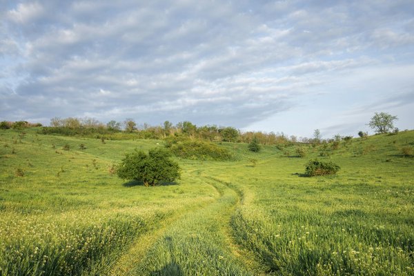 Jouez à Slots Jackpot En Ligne Pour De L Argent Réel