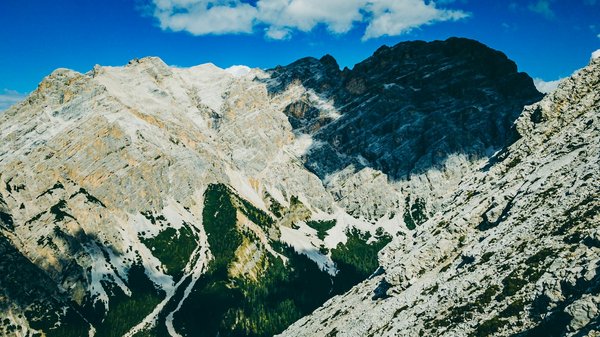 Valeur Roi Blackjack