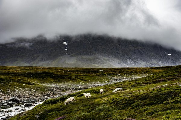 Slots Et Casino Gratuits