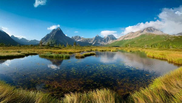 Le Meilleur Casino à Emplacement En Ligne