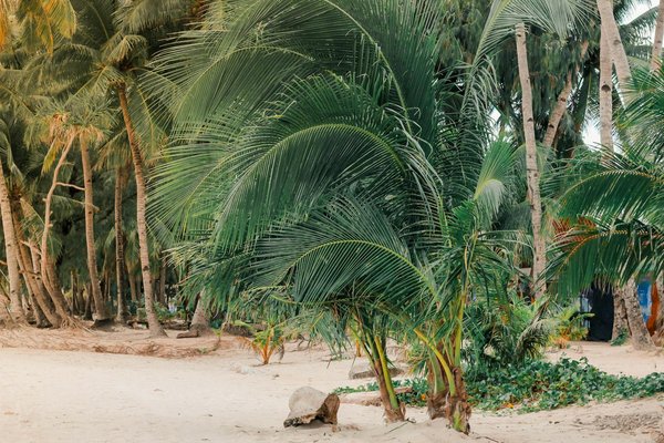 Keno Statistique Du Mois