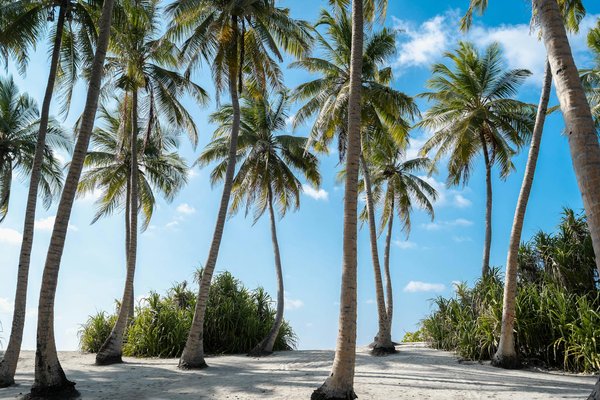 Unibet Casino 50 Free Spins