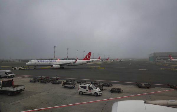 Sirène Casino En Ligne