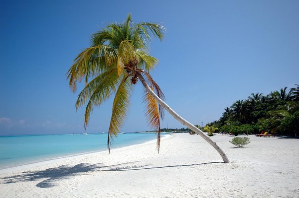 2025 Pas De Bonus De Roulette De Dépôt