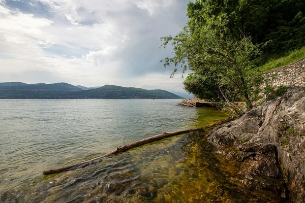 Nevada Win Casino No Deposit Bonus