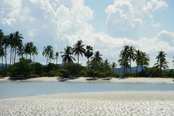 Slots Bonus Aucun Dépôt