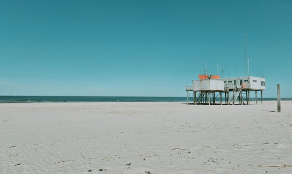 Machine à Sous Lobstermania