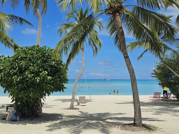 Jouez Gratuitsment Aux Machines à Sous De Dernière Génération