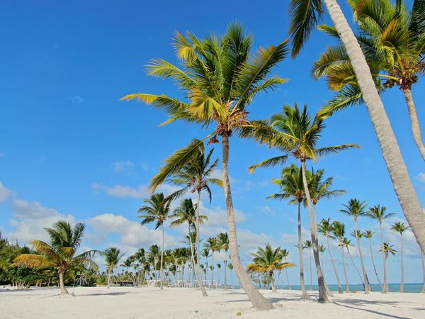 Slots Gratuitsment à Jouer