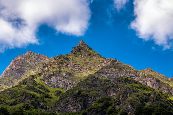 Roulettes En Français