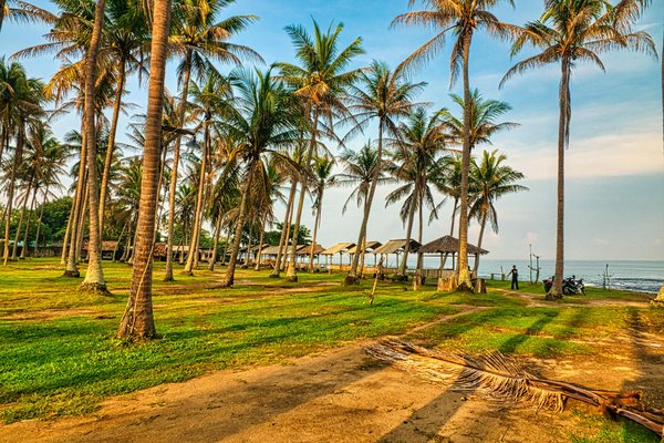 Machine à Sous Davinci Diamonds