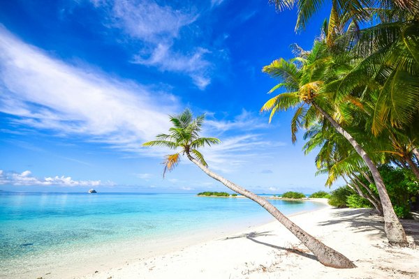 Jouer Des Machines à Sous En Ligne Pour De L Argent Réel