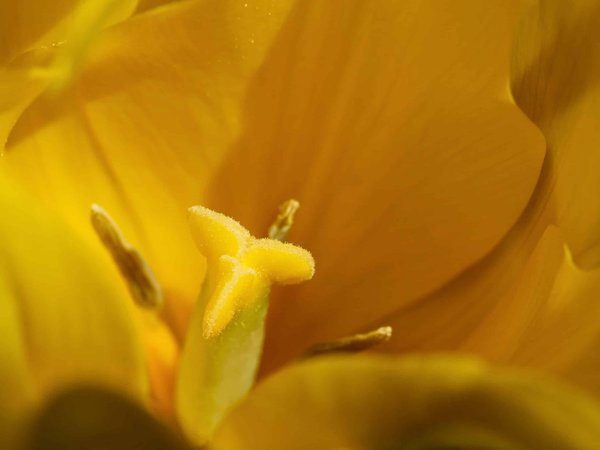 Exploration immersive à Marseille : Vivez la cité phocéenne sous un nouvel angle !