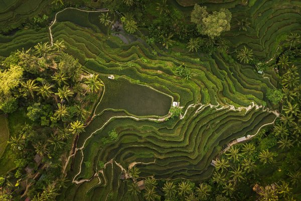 Bali : des paysages époustouflants pour un voyage de luxe